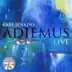 Adiemus (Live) song reviews