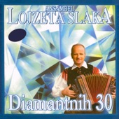 Ansambel Lojzeta Slaka - Polka Village