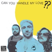 Can You Handle My Love?? artwork