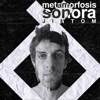 Metamorfosis Sonora