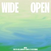 Wide Open (feat. Ta-ku & Masego) [Cabu & Ta-ku Remix] artwork