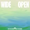 Wide Open (feat. Ta-ku & Masego) [Cabu & Ta-ku Remix] artwork