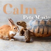 Calm Pets Music artwork