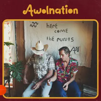 Here Come the Runts by AWOLNATION album reviews, ratings, credits