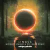 Stream & download Lingus (Michael League & Nic Hard Remix) [feat. Michael League] - Single