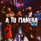 A Tu Manera Remix (En Vivo) [feat. Manny Montes & GabrielRodriguezEMC] artwork