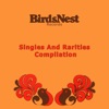 Birdsnest Records: Singles And Rarities Compilation