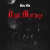 Night Meetings artwork