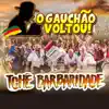 O Gauchão Voltou - Single album lyrics, reviews, download