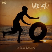 Le Soleil Descend (feat. Paul Cargnello) artwork