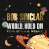 World Hold On (feat. Steve Edwards) [Tom Staar Remix] - Single album lyrics, reviews, download