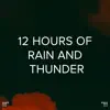 !!!" 12 Hours of Rain and Thunder"!!! album lyrics, reviews, download
