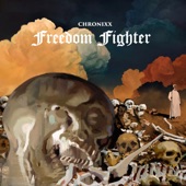 Freedom Fighter artwork
