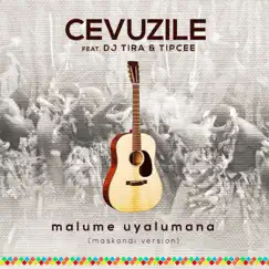 Malume Uyalumana (feat. DJ Tira & Tipcee) Song Lyrics
