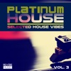 Platinum House, Vol. 3 - Selected House Vibes