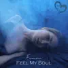 Feel My Soul - Single album lyrics, reviews, download