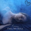 Faraón - Feel My Soul