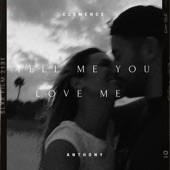 Tell Me You Love Me artwork