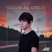 Sogni al cielo artwork