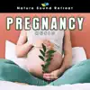 Pregnancy Music album lyrics, reviews, download