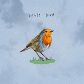 Little Bird artwork