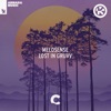 Melosense - Lost in Gruvv