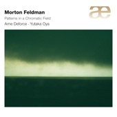 Feldman: Patterns In a Chromatic Field artwork