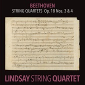 String Quartet No. 4 in C Minor, Op. 18 No. 4: III. Menuetto. Allegretto artwork