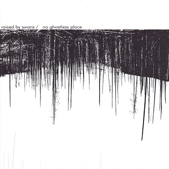 Cover artwork for We Were Never Young