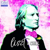 Liszt and Chill artwork