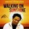 Walking On Sunshine (DJ Gladiator Summer Mix) - Inusa Dawuda & Magnetix Project lyrics