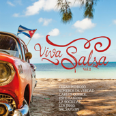 Viva Salsa, Vol. 2 - Various Artists