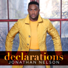 Jonathan Nelson - Declarations  artwork