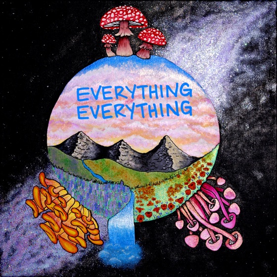 Cover artwork for Everything Everything