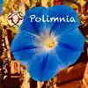 Polimnia song lyrics
