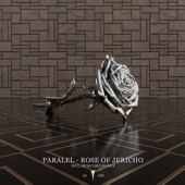 Rose of Jericho (Remcord Remix) artwork