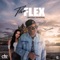 The Flex artwork