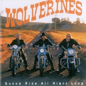 Wolverines - Singin' My Song For You