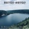 De Hedenske Vampyrene Fra Nord - BRVDY SHVDY lyrics