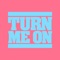 Turn Me On (feat. Saad) [Sebastian Weikum Remix] - Shahin Shantiaei lyrics