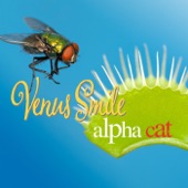 Alpha Cat - Venus Smile