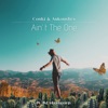 Ain’t the One - Single