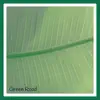 Green Road - Single album lyrics, reviews, download