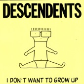 Descendents - Good Good Things