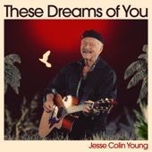 Jesse Colin Young - These Dreams of You