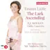 Vaughan Williams: The Lark Ascending album cover