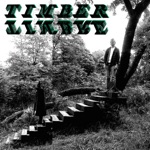 Timber Timbre - Magic Arrow