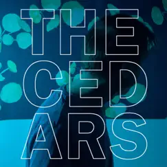The Cedars by John Vanderslice album reviews, ratings, credits