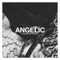 Angelic (feat. MindsOne) - Mr Brown lyrics