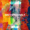 Isn't She Lovely (Acoustic) - Single album lyrics, reviews, download